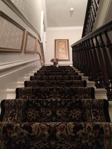 Wedding Venue «River Stone Manor», reviews and photos, 1437 Amsterdam Rd, Schenectady, NY 12302, USA