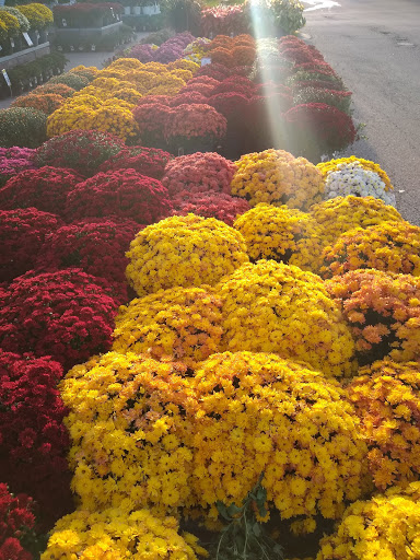 Home Improvement Store «The Home Depot», reviews and photos, 6625 Grand Ave, Gurnee, IL 60031, USA