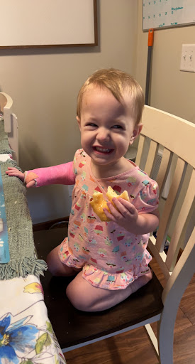 Donut Shop «Evergreen Donuts», reviews and photos, 20101 44th Ave W F, Lynnwood, WA 98036, USA