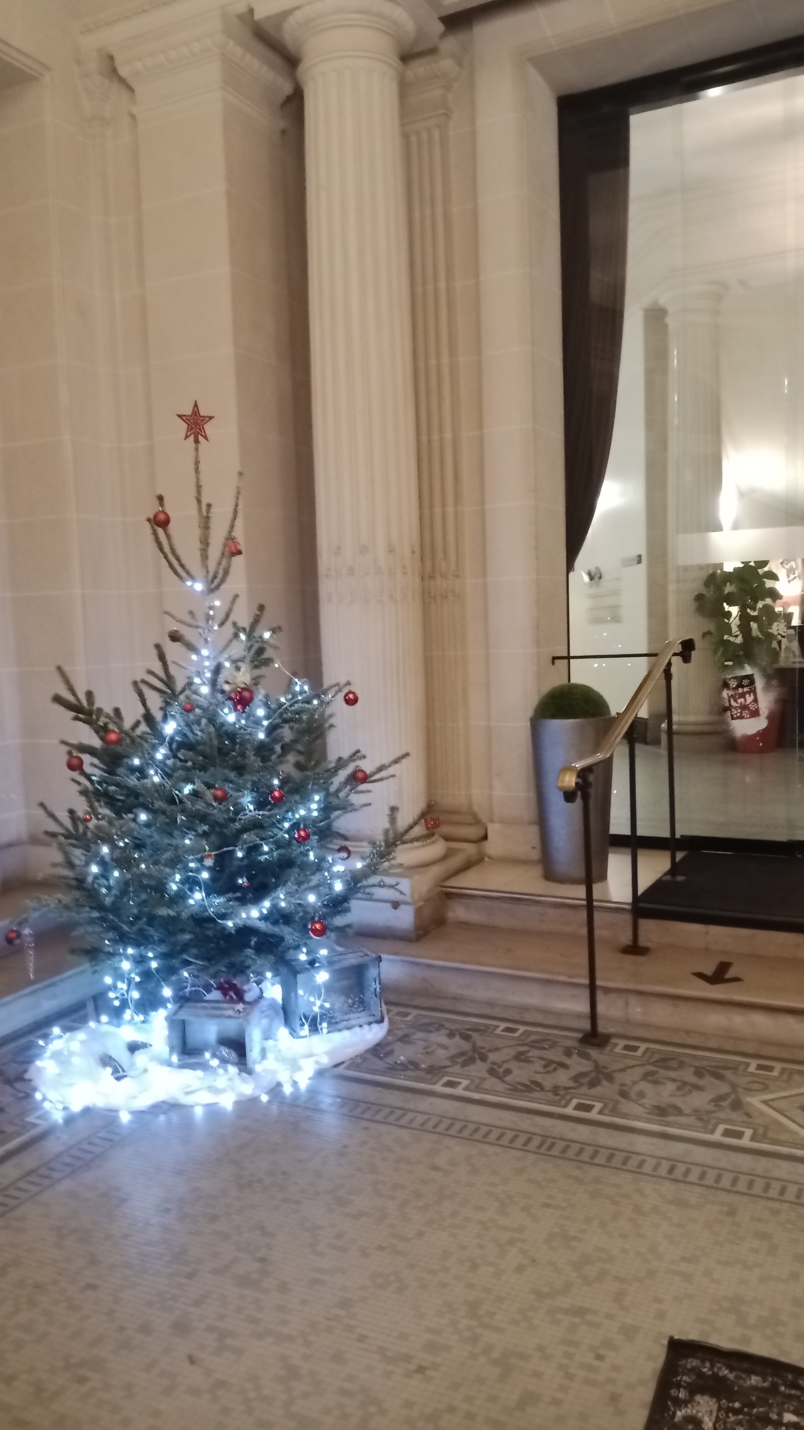 Photo n° 13 de l'avis de Icare.h fait le 03/12/2021 à 15:50