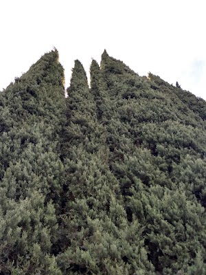Saddleback Mobilodge - photo 11