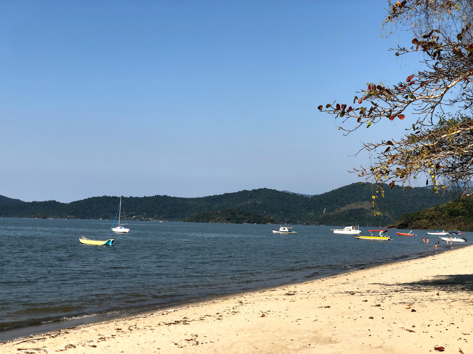Foto von Jabaquara's Beach - beliebter Ort unter Entspannungskennern