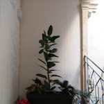 Photo n°1 de l'avis de Tiziana.o fait le 01/01/2020 à 19:53 sur le  a.d. 1768 Boutique Hotel à Ragusa