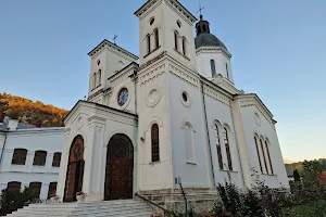 Bistrița Monastery image