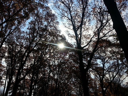 Golf Course «William J. Devine Golf Course at Franklin Park», reviews and photos, 1 Circuit Dr, Dorchester, MA 02121, USA