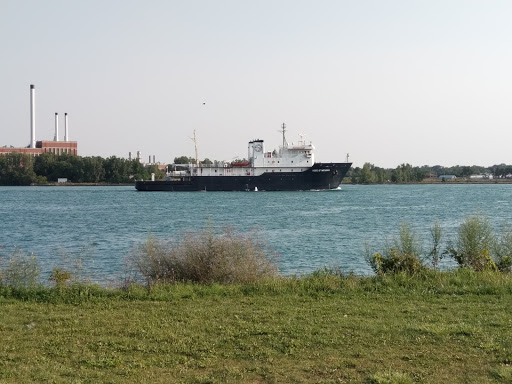 Park «Mt. Elliott Park», reviews and photos, 110 Mt Elliott St, Detroit, MI 48207, USA