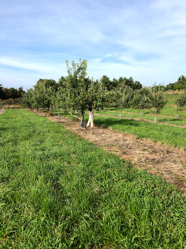 Orchard «Autumn Hills Orchard», reviews and photos, 495 Chicopee Row, Groton, MA 01450, USA