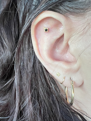 Explore mens nature tattoo ideas, creative tattoo ideas in Grand Rapids, available at IRIS Piercing Studio