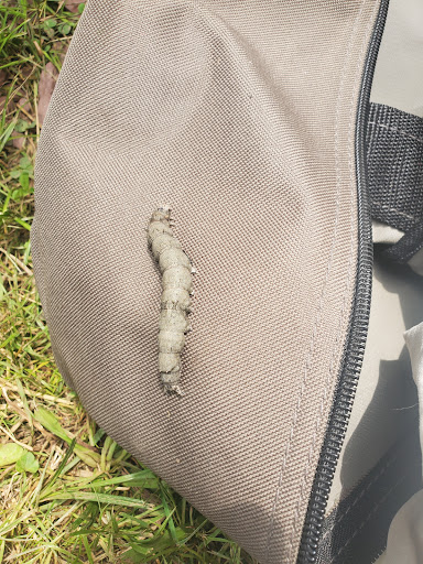 Ski Shop «Cabin Craft Snowboard & Ski Shop», reviews and photos, 2 Main St, Spring Mt, PA 19478, USA