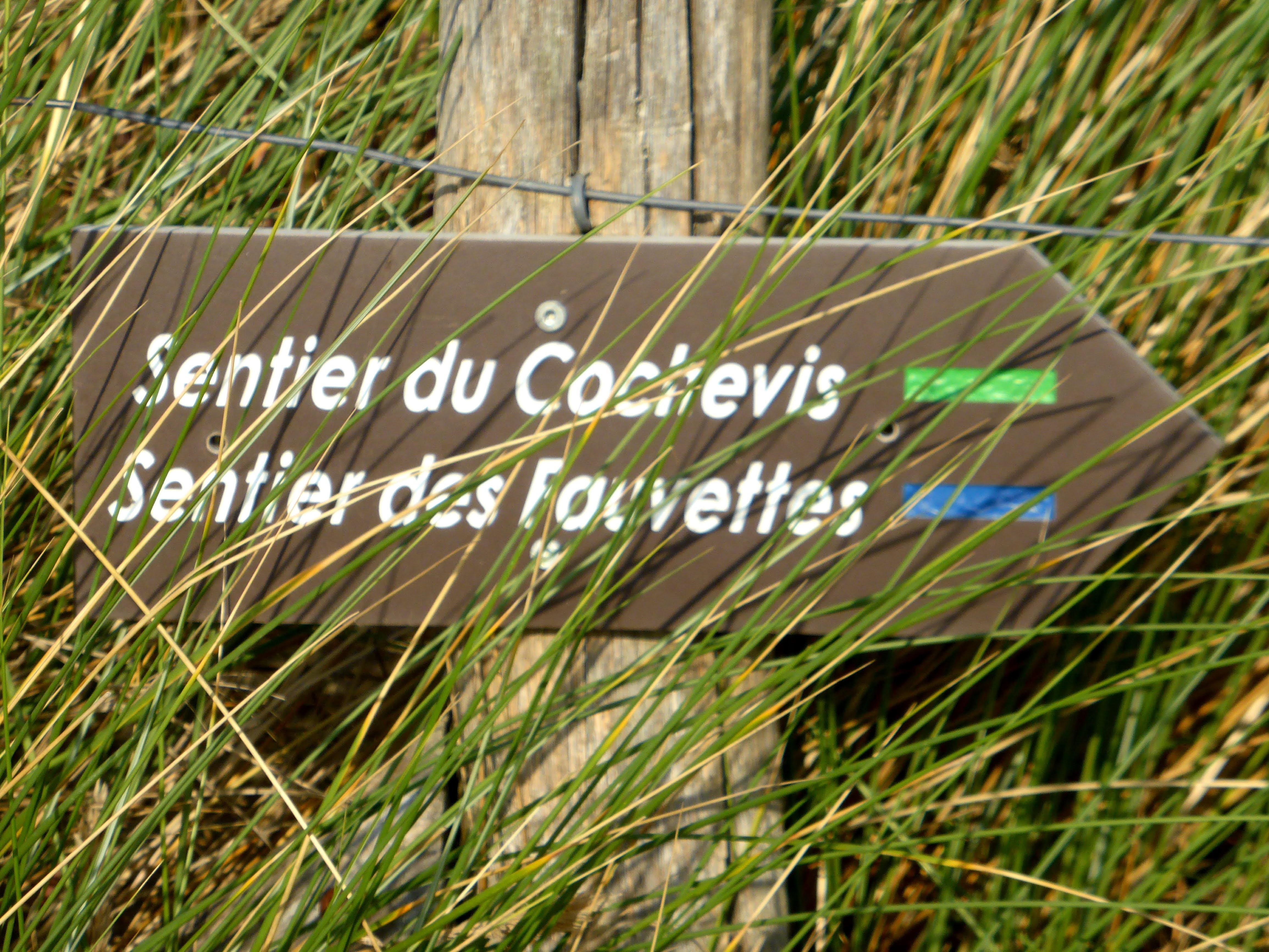 Photo n° 10 de l'avis de Joseph.a fait le 01/10/2021 à 15:40