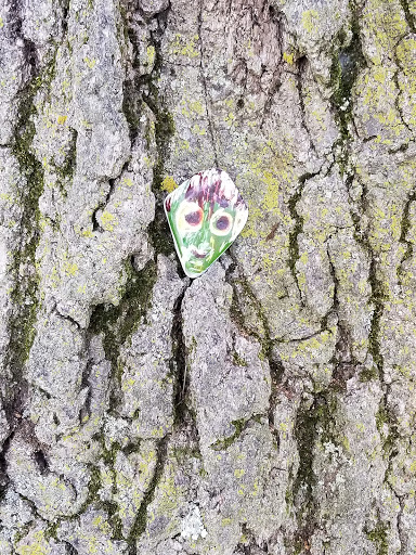 Park «Lions Park», reviews and photos, 8875 McEvilly Rd, Minooka, IL 60447, USA