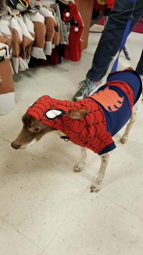 Pet Supply Store «PetSmart», reviews and photos, 2784 Wilma Rudolph Blvd, Clarksville, TN 37040, USA