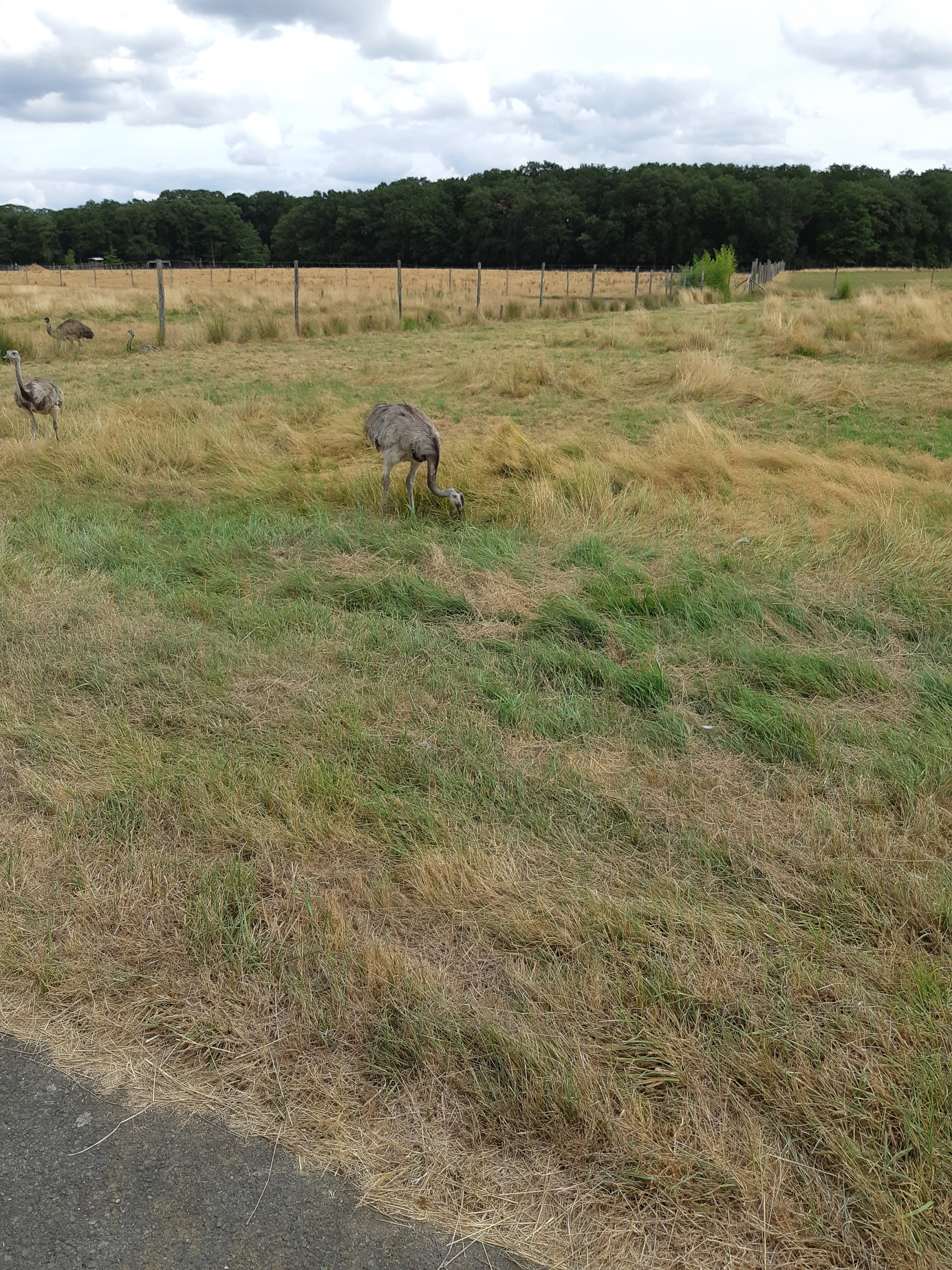 Photo n° 28 de l'avis de Carla.a fait le 10/08/2018 à 15:54