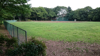 青海中央ふ頭公園 野球場