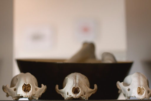 Tattoo Shop «4Points Body Gallery», reviews and photos, 4222 Nicollet Ave, Minneapolis, MN 55409, USA