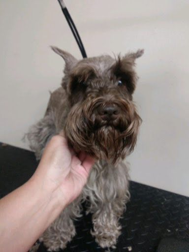 Pet Supply Store «EarthWise Pet Supply - Richardson», reviews and photos, 1310 W Campbell Rd #128, Richardson, TX 75080, USA