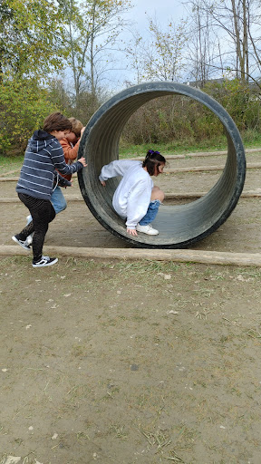 Pumpkin Patch «CornFun Corn Maze Adventure And Pumpkin Patch», reviews and photos, 9391 Lindsey Ln, Casco, MI 48064, USA
