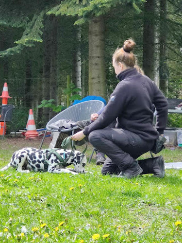 Pawfect Dog - Hundetræner