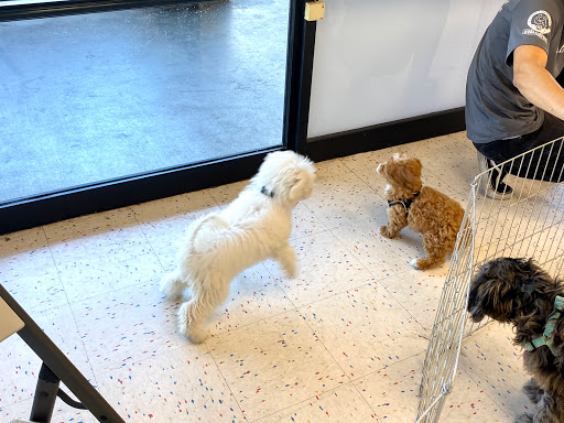 Pet Supply Store «Petco Animal Supplies», reviews and photos, 1919 El Camino Real, Mountain View, CA 94040, USA