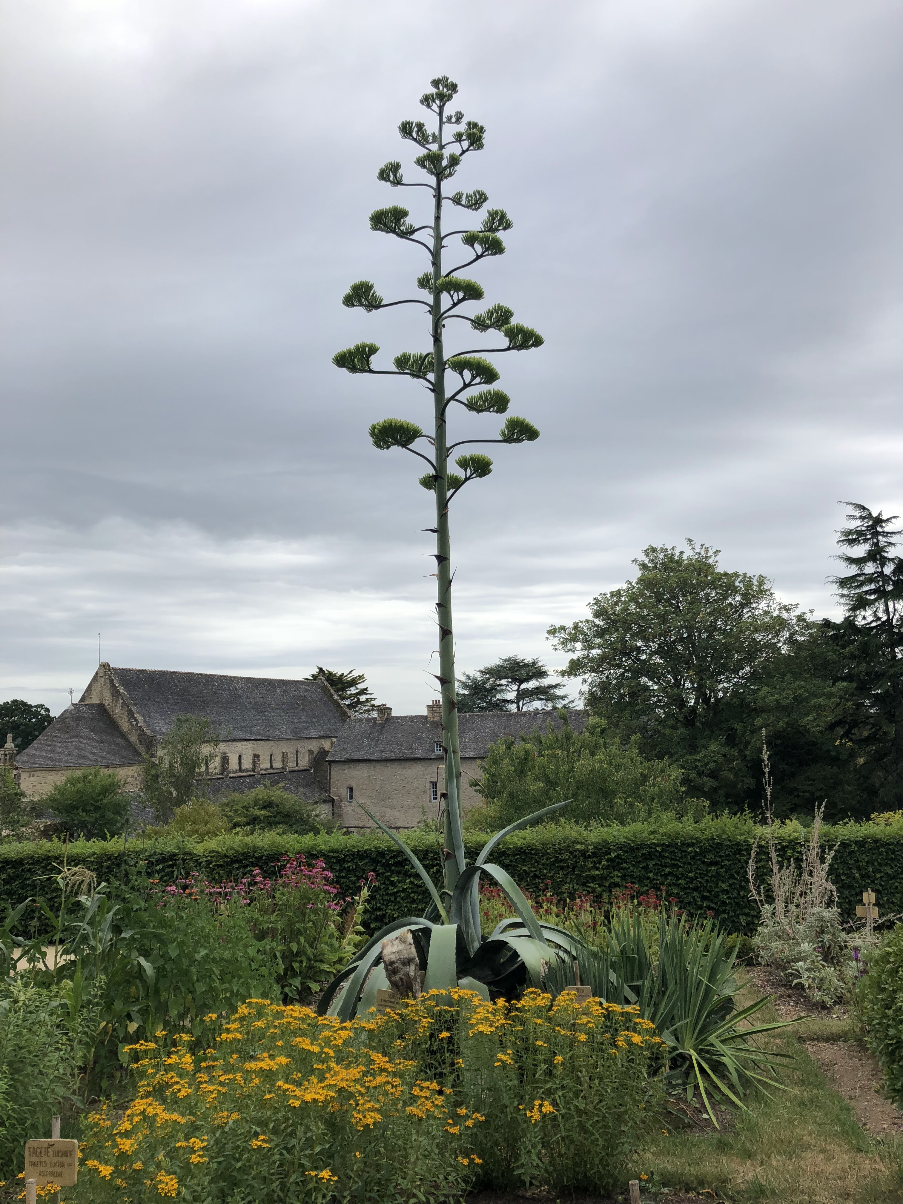 Photo n° 7 de l'avis de Alan.u fait le 28/07/2018 à 18:25