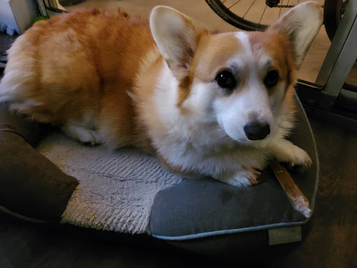 Pet Supply Store «Mud Bay», reviews and photos, 2611 California Ave SW, Seattle, WA 98116, USA