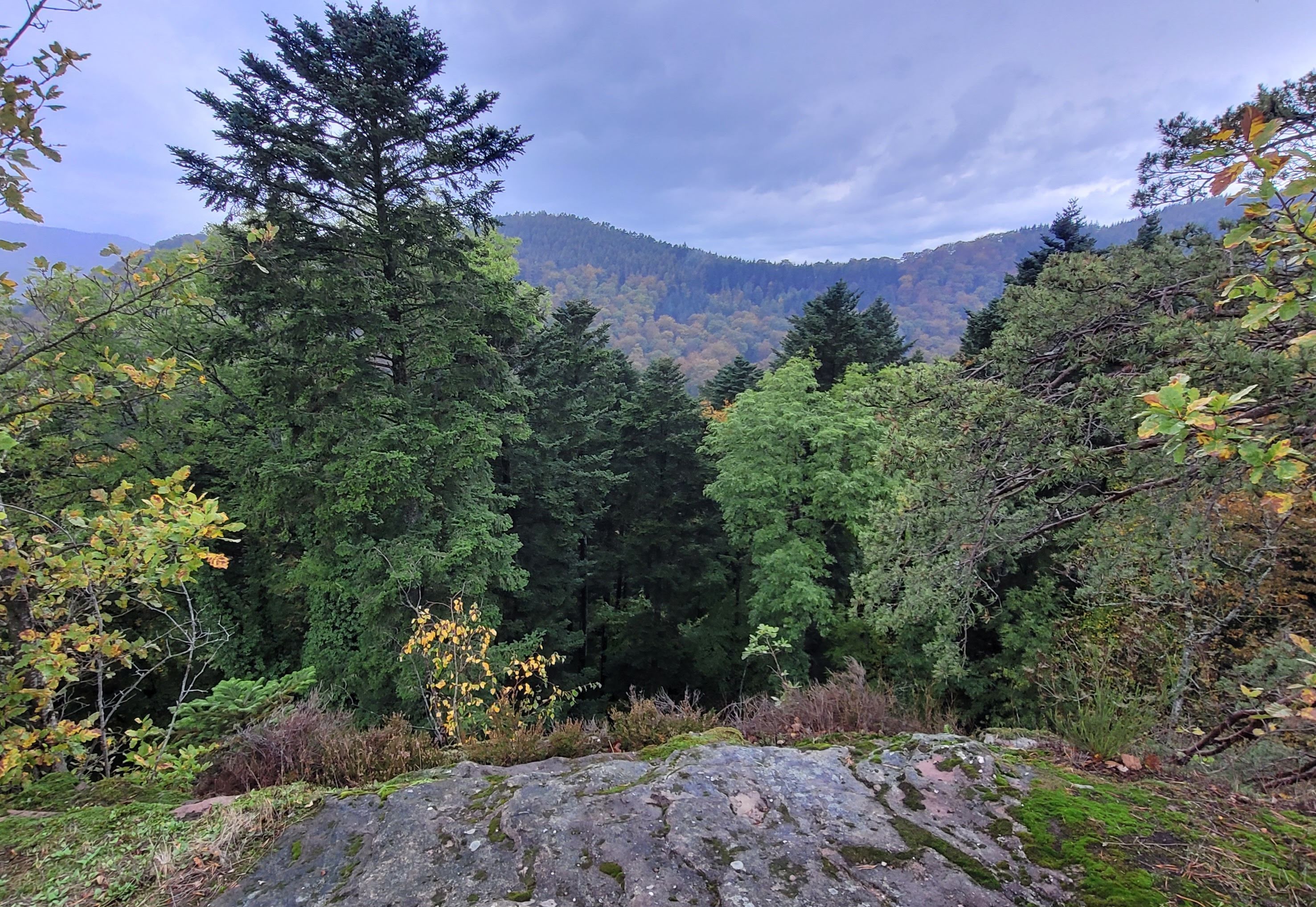 Photo n° 11 de l'avis de Verena.a fait le 31/10/2023 à 09:18