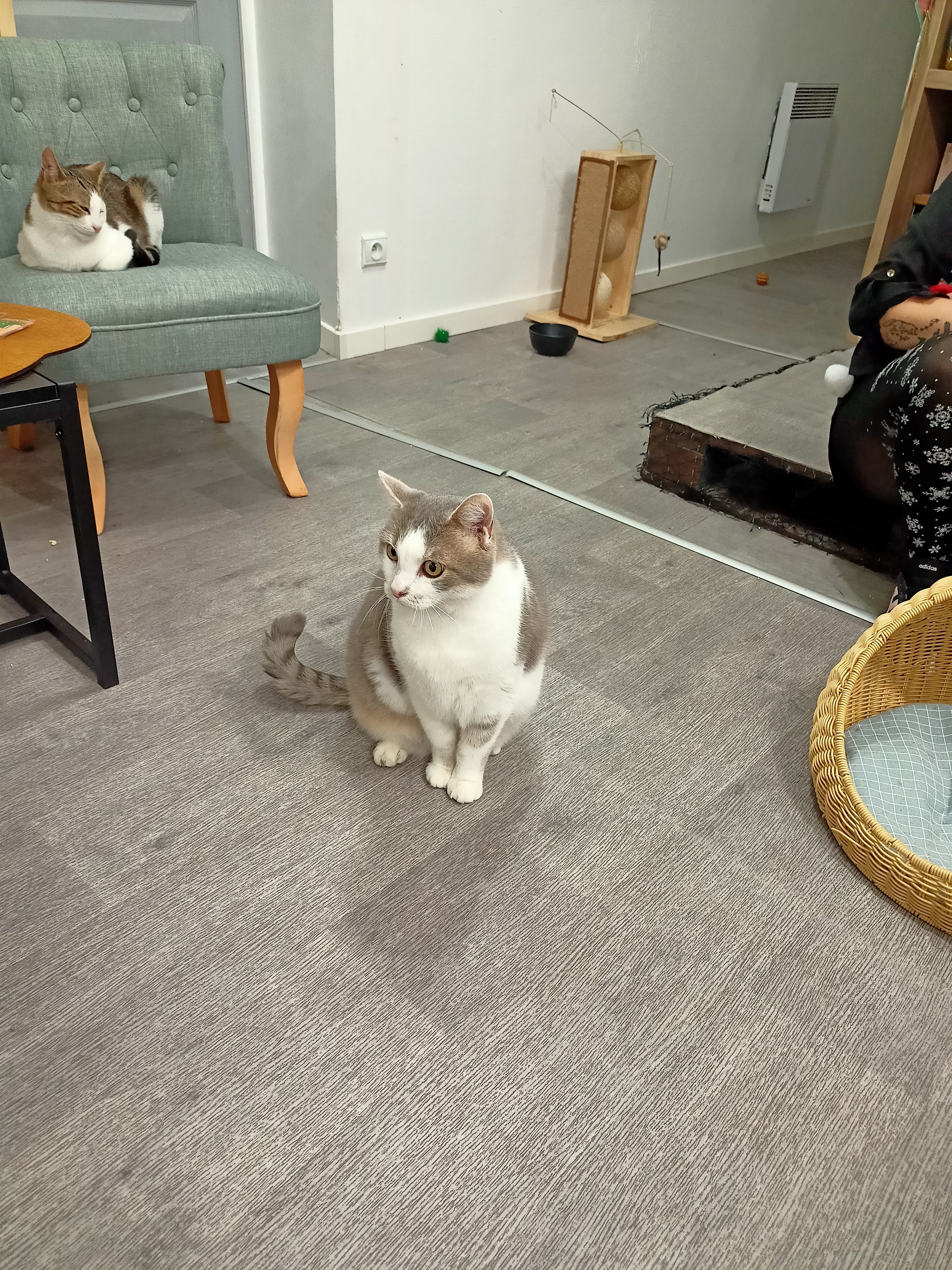 Photo n° 12 de l'avis de Espoir.� fait le 16/10/2022 à 17:44