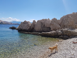 Plaza - Mali Pecen'in fotoğrafı vahşi alan