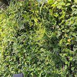 Photo n°3 de l'avis de Gianluca.i fait le 25/11/2021 à 19:00 sur le  Dollaro à Monza