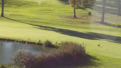 Golf Club «Hartford Golf Club», reviews and photos, 134 Norwood Rd, West Hartford, CT 06117, USA