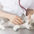 Vetcare for Pets Animal Hospital