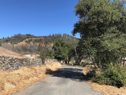 Sonoma Valley Bike Tours & Rentals image