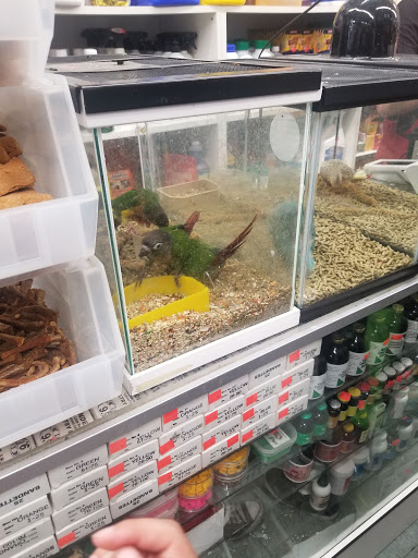 Pet Store «El Granero Pet Shop», reviews and photos, 15700 Atlantic Ave, Compton, CA 90221, USA
