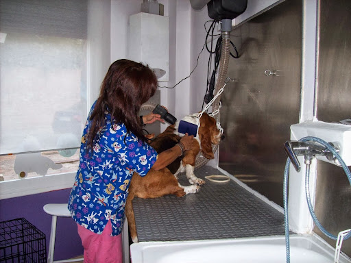 Centro Veterinario La Casa Morada en Casabermeja