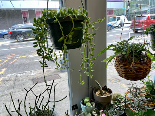 Florist «Chaba Florists», reviews and photos, 71 Stuart St, Boston, MA 02116, USA