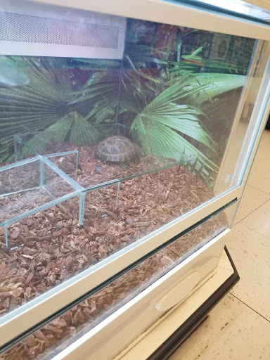 Pet Supply Store «PetSmart», reviews and photos, 73 RHL Blvd, South Charleston, WV 25309, USA