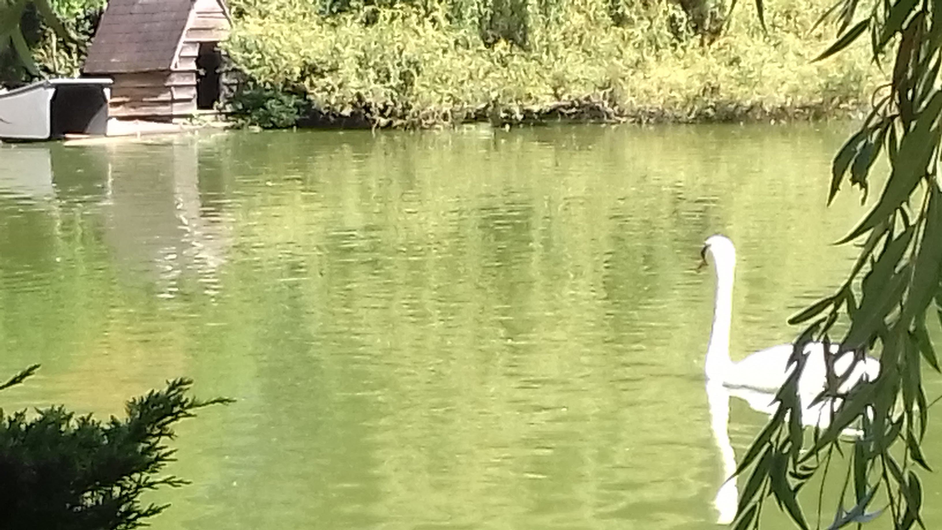 Photo n° 12 de l'avis de Gustavo.i fait le 27/08/2018 à 15:52