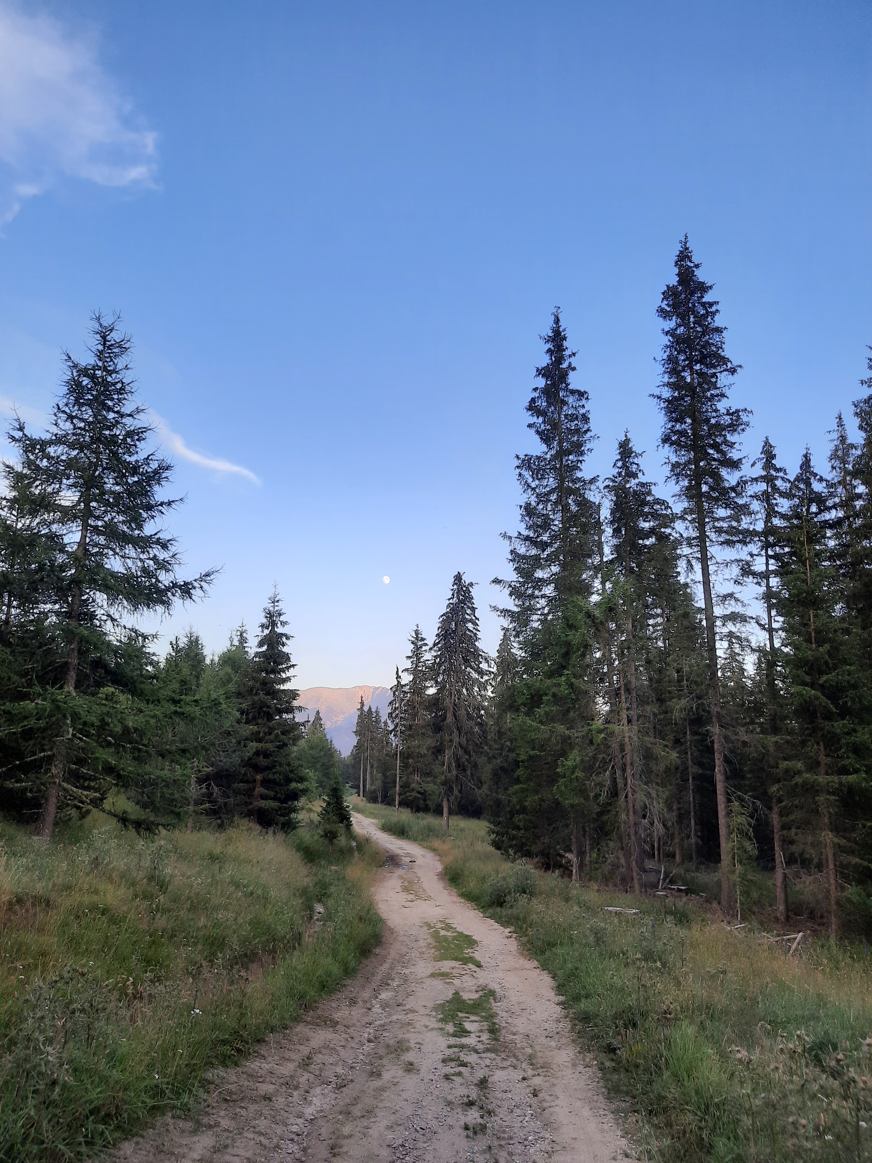 Photo n° 1 de l'avis de jean-francois.l fait le 31/07/2020 à 19:02