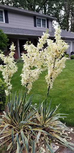 Athletic Field «Sunset Athletic Club», reviews and photos, 13939 NW Cornell Rd, Portland, OR 97229, USA