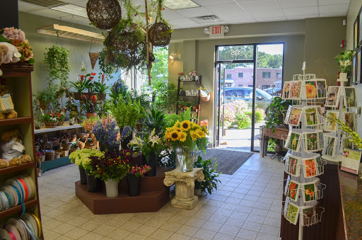 Florist «Concord Flower Shop», reviews and photos, 135 Commonwealth Ave, Concord, MA 01742, USA