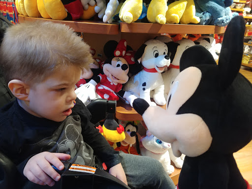 Toy Store «Disney Store», reviews and photos, 1500 Polaris Pkwy, Columbus, OH 43240, USA