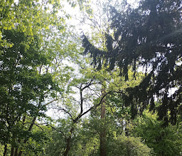 Von-Bernus Park photo