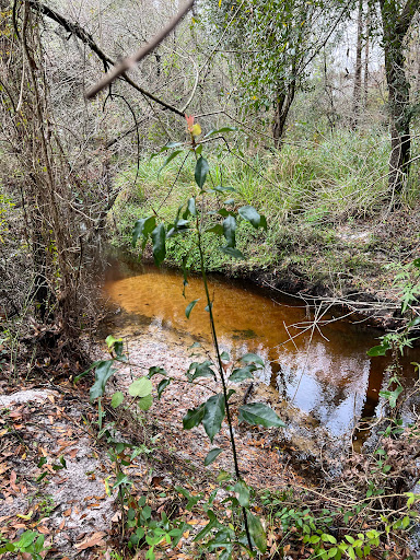 Park «Boyette Springs Park», reviews and photos, 10423-10425 Deepbrook Dr, Riverview, FL 33569, USA