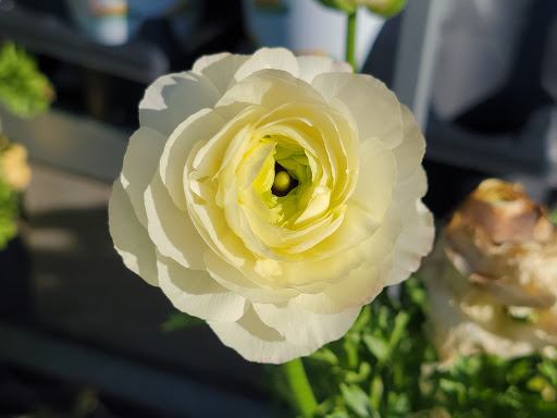 Home Improvement Store «The Home Depot», reviews and photos, 701 W Edgar Rd, Linden, NJ 07036, USA