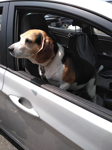 Supermarket «Big Y», reviews and photos, 1180 Thorndike St, Palmer, MA 01069, USA