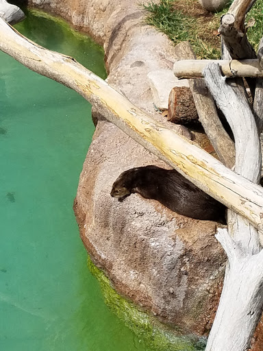 Zoo «Reid Park Zoo», reviews and photos, 3400 Zoo Court, Tucson, AZ 85716, USA