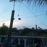 Photo n°2 de l'avis de Daniela.m fait le 20/07/2018 à 16:34 sur le  Haubentaucher Berlin à Berlin