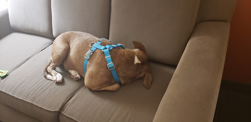 Pet Supply Store «Mounds Pet Food Warehouse», reviews and photos, 2110 S Stoughton Rd, Madison, WI 53716, USA