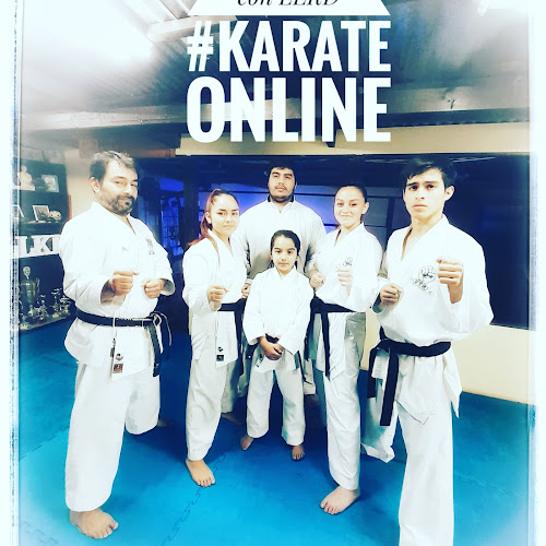 Opiniones de Llolleo Karate Do en San Antonio - Gimnasio
