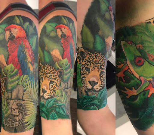 Explore cute frog tattoo ideas, creative tattoo ideas in Mesa, available at The Tattoo Lounge